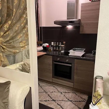 Studio Cosy Avec Vue Panoramique Genève